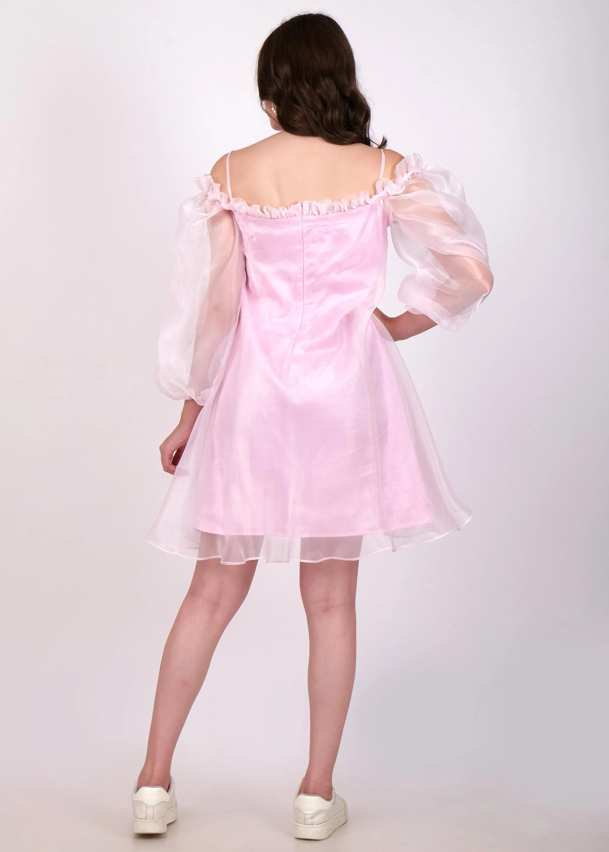 Pink Dream Organza Dress